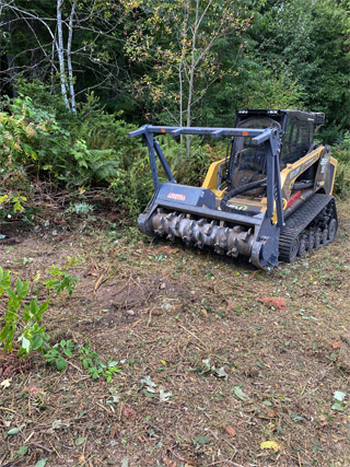 What is Forestry Mulching?