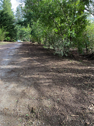 Land Clearing